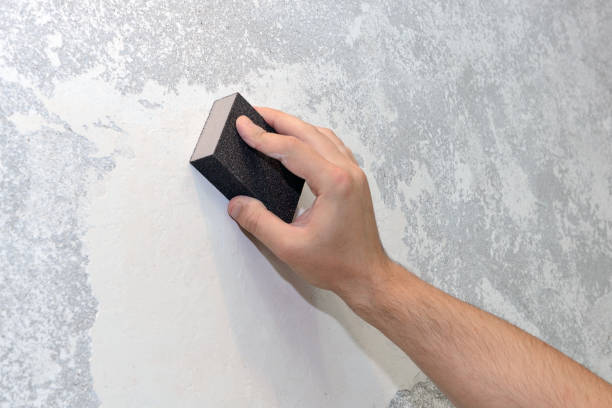Best Emergency Mold Remediation  in Ritzville, WA