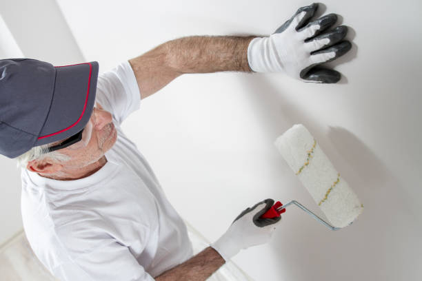 Best Mold Removal for HVAC Installations  in Ritzville, WA